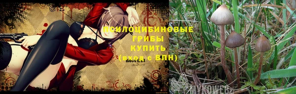 дживик Алексин