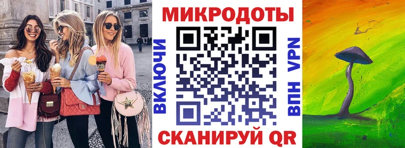 закладка  Юрьевец  Галлюциногенные грибы Psilocybe 